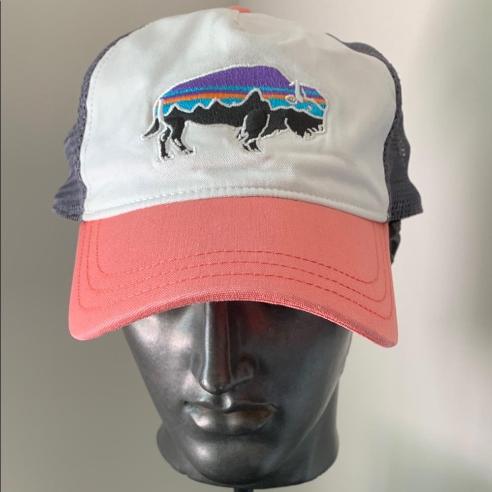 Patagonia Fitz Roy Bison Hat